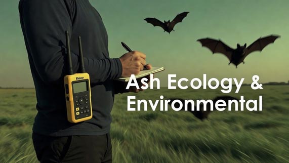 Ecological survey in progress